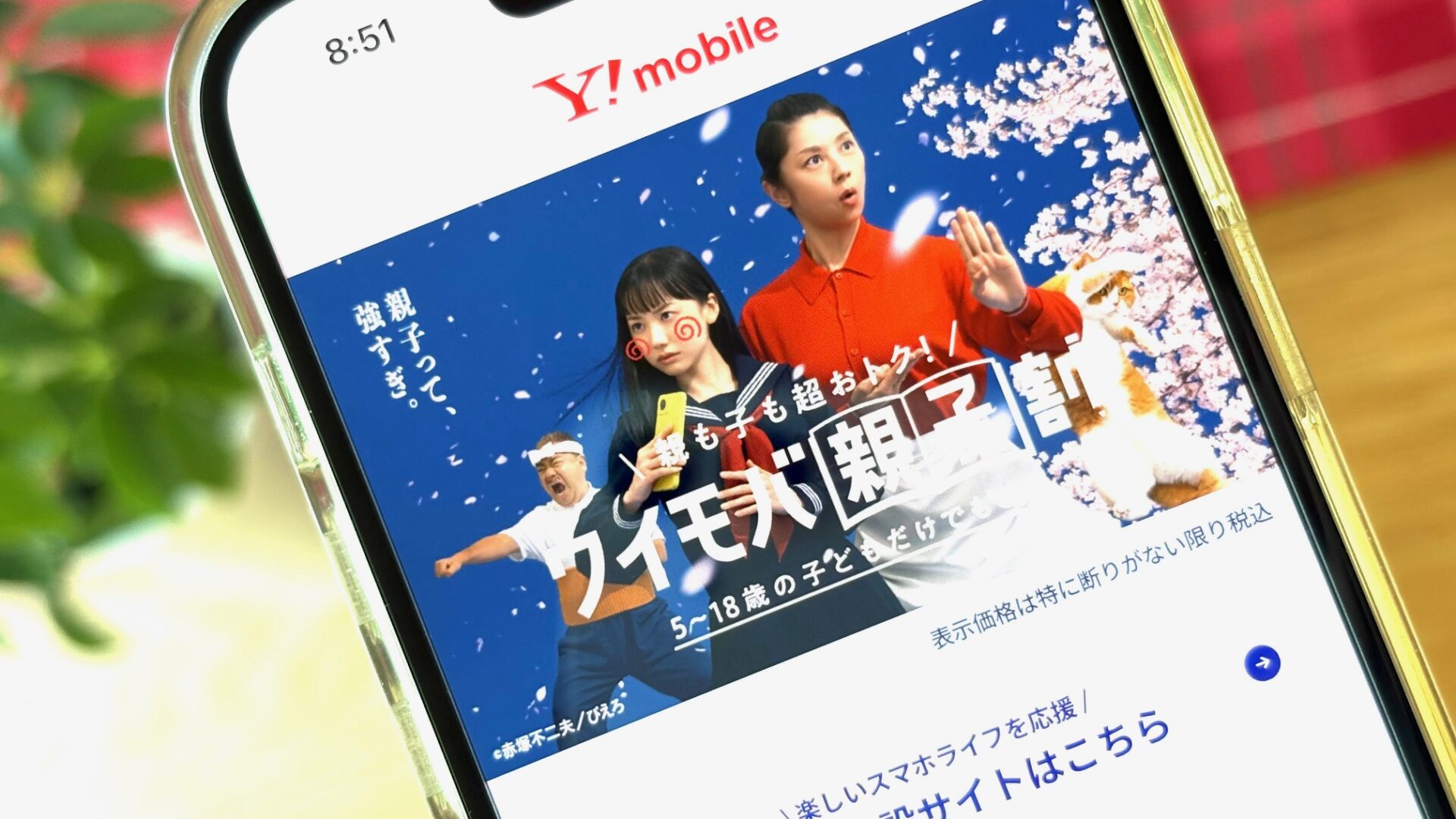 ワイモバイル　2026年　学割