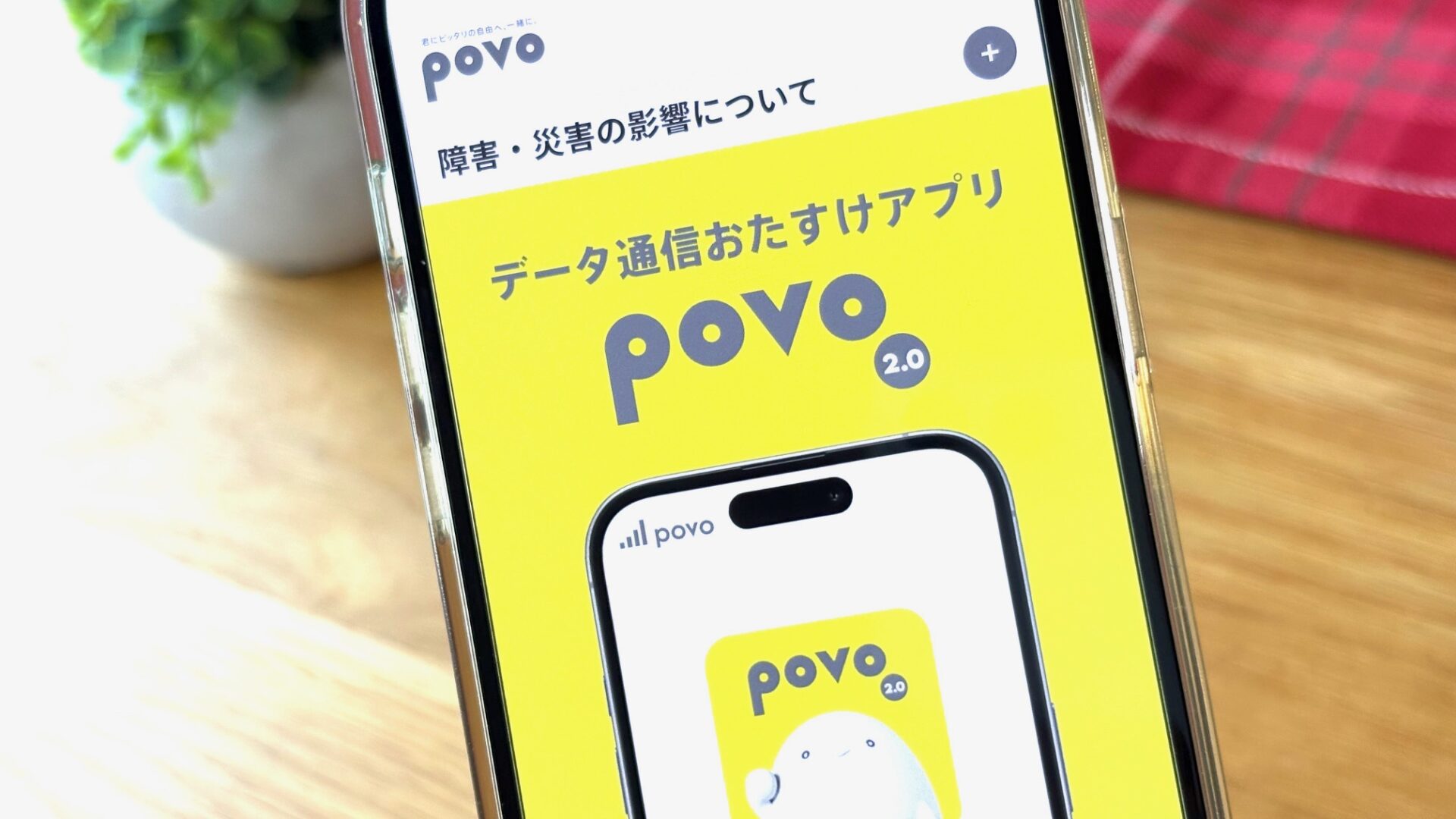 povoイメージ画像