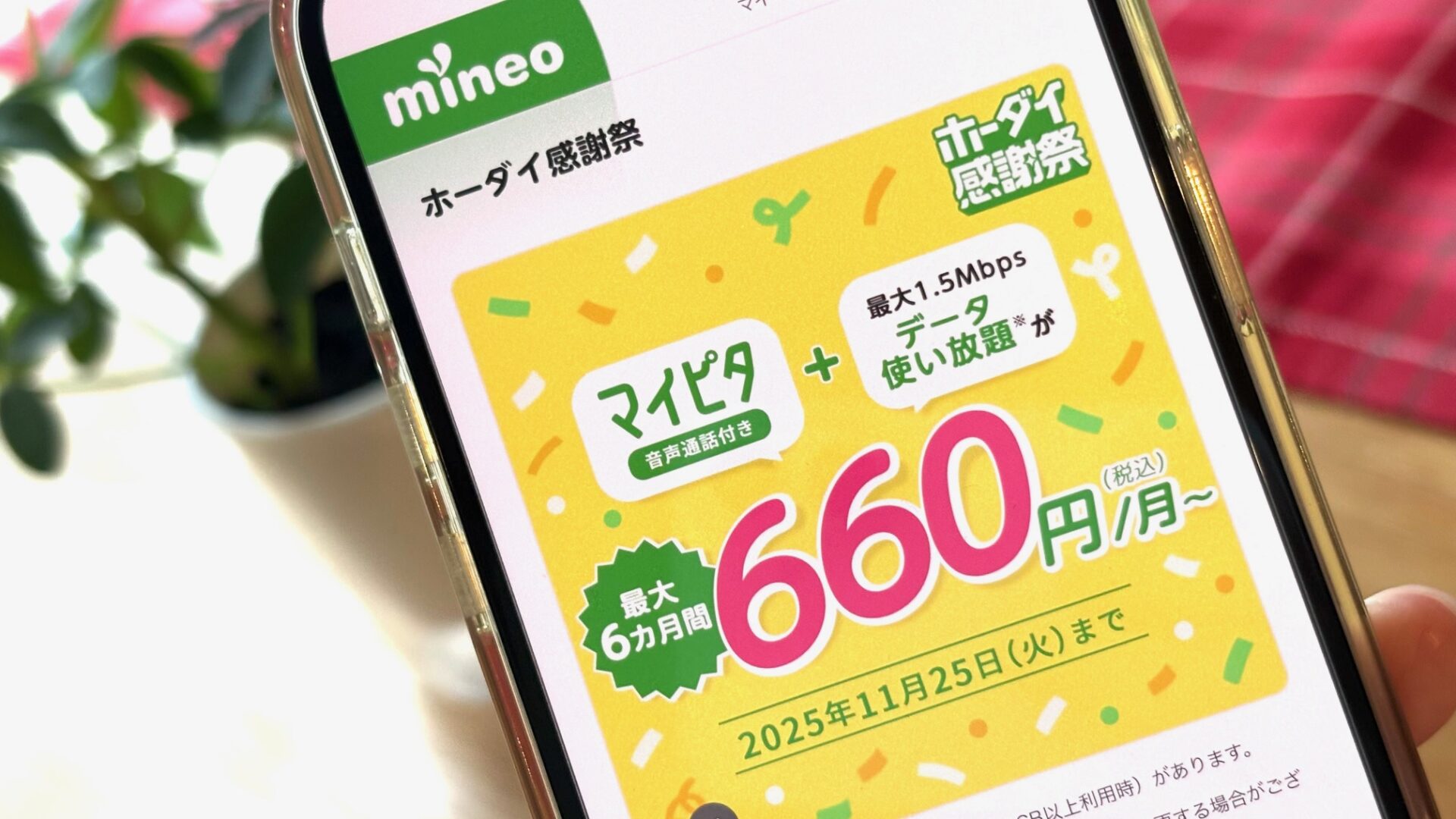 マイネオのイメージ画像