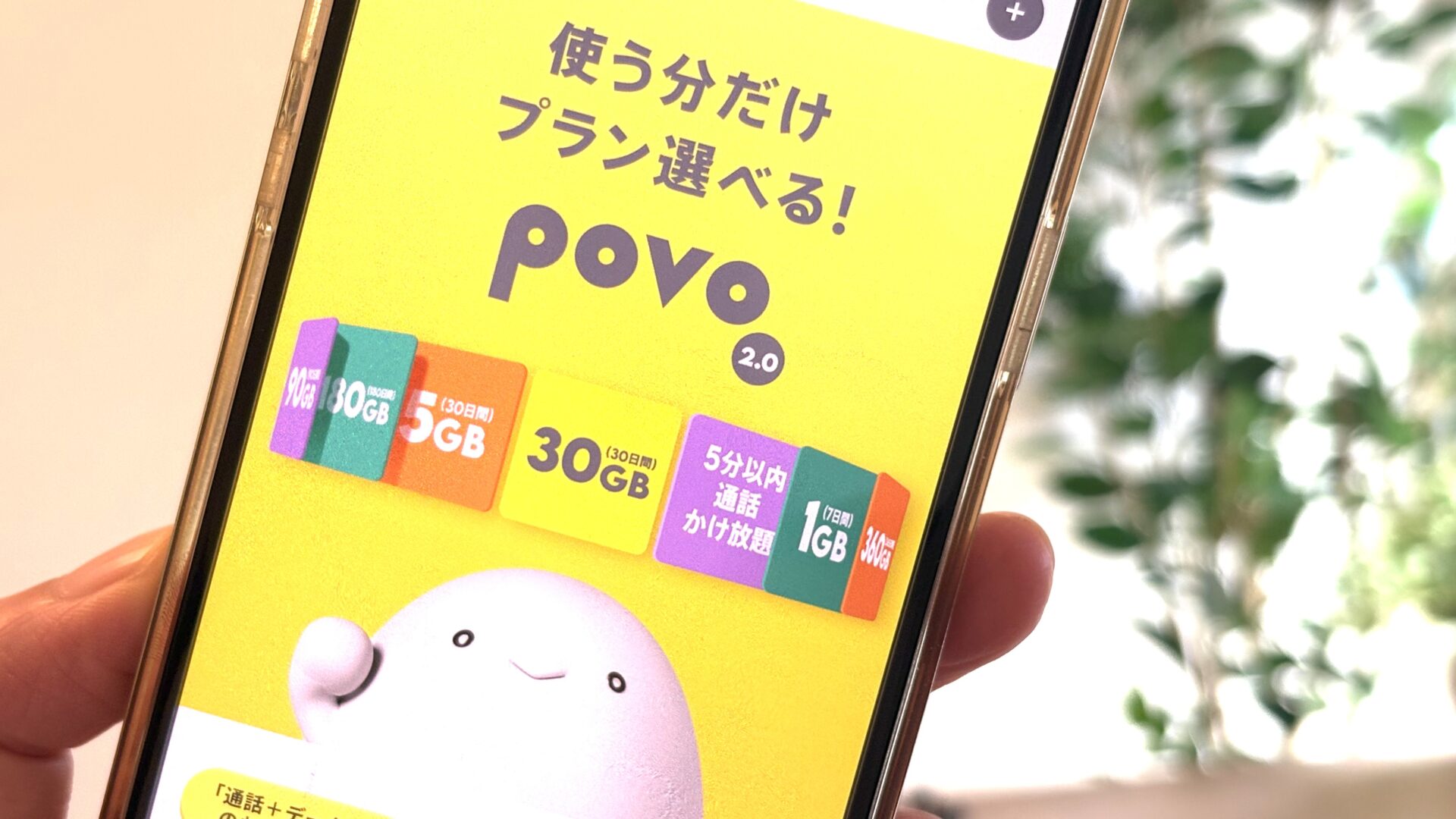 povoイメージ画像